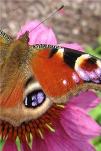 The Peacock Butterfly Notebook