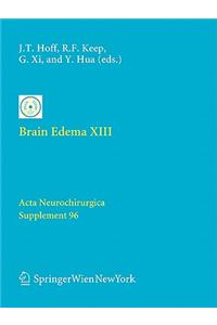 Brain Edema XIII