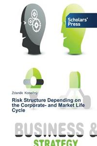 Risk Structure Depending on the Corporate- and Market Life Cycle