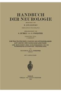 Die traumatischen Läsionen des Rückenmarkes auf Grund der Kriegserfahrungen