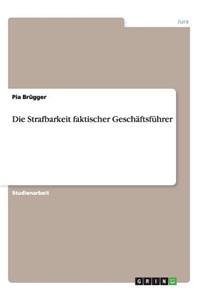 Die Strafbarkeit faktischer Geschäftsführer