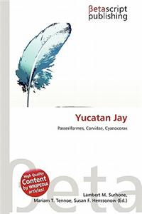 Yucatan Jay