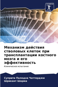 Механизм действия стволовых клеток при тр