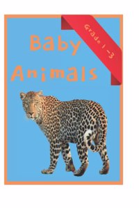 Baby Animals Book with facts about animals for kids