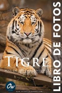 Tigre