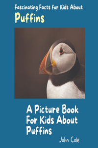 Picture Book for Kids About Puffins