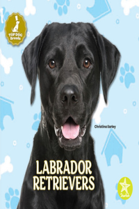 Labrador Retrievers