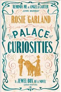 The Palace of Curiosities