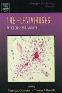 The Flaviviruses