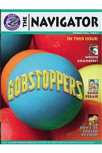 Navigator Non Fiction Yr 3/P4: Gobstoppers Book