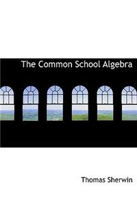 The Common School Algebra