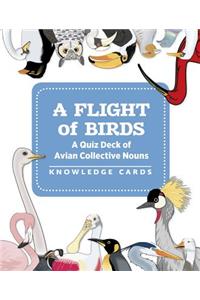 A Flight of Birds a Quiz Deck of Avian Collective Nouns