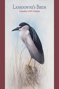 Lansdowne'S Birds 2019 Wall Calendar