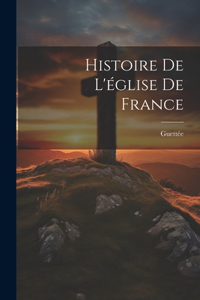 Histoire De L'église De France