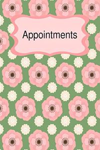 Appointments: Dated 2020 Planner with Daily Hourly Schedule