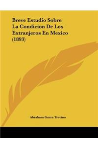 Breve Estudio Sobre La Condicion De Los Extranjeros En Mexico (1893)