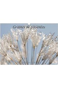Graines De Pissenlits 2017