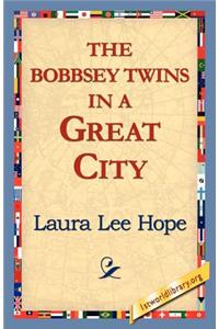 Bobbsey Twins in a Great City