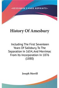 History Of Amesbury