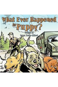 What Ever Happened to Puppy?