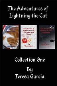 Adventures of Lightning the Cat: Short Stories Collection One