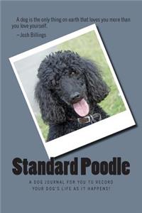 Standard Poodle