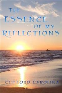Essence of My Reflections