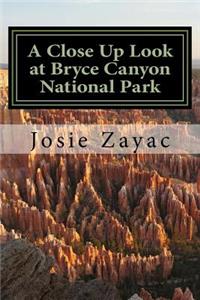 A Close Up Look at Bryce Canyon National Park
