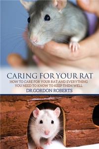 Caring for Your Rat