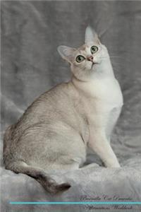 Burmilla Cat Affirmations Workbook Burmilla Cat Presents