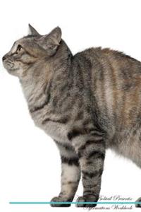 Kurilian Bobtail Affirmations Workbook Kurilian Bobtail Presents