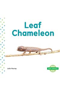 Leaf Chameleon