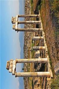 Hieropolis Ruins Pamukkale, Turkey Journal