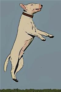 Bull Terrier
