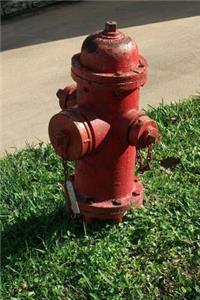 The Fire Hydrant Journal - Keep It Away from the Dog!: 150 Page Lined Notebook/Diary