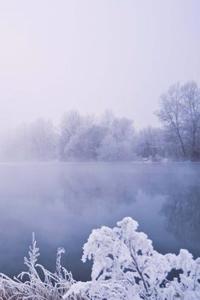 Winter Fog Journal