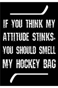 If You Think My Attitude Stinks, You Should Smell My Hockey Bag
