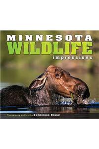 Minnesota Wildlife Impressions