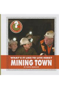 What's It Like to Live Here? Mining Town