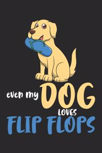 Even My Dog Loves Flip Flops