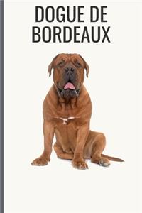 Dogue de Bordeaux