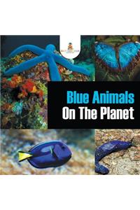 Blue Animals On The Planet