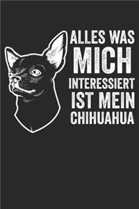 Chihuahua