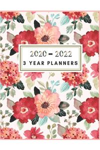 3 Year Planner