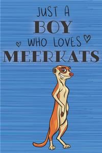 Just a Boy Who Loves Meerkats