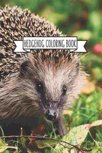 Hedgehog Coloring Book
