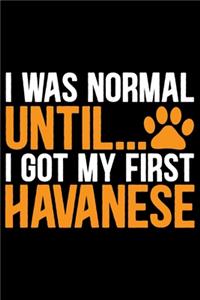 I Was Normal Until I Got My First Havanese
