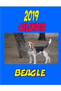 2019 Calendar Beagle: Personal Contact, password log, notes, to do list, and more