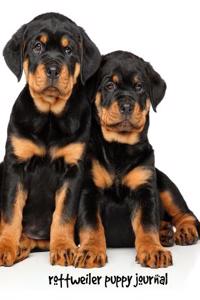 Rottweiler Puppy Journal