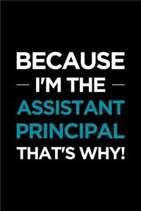 Assistant Principal Notebook